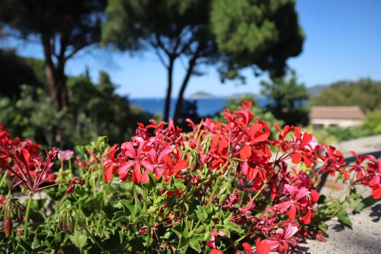 Apartment Casa Del Mare - Oasi Verde A Soli 100M Dal Mare! Marciana Marina